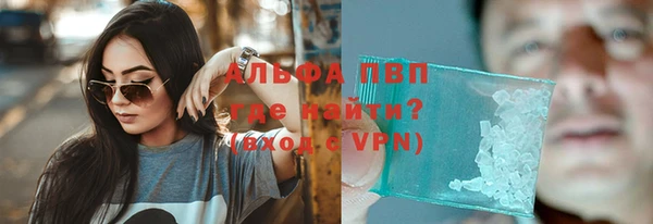 гашик Белокуриха